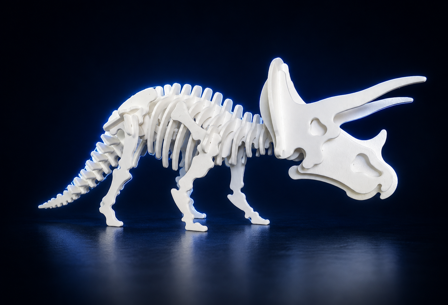 Fóssil montado — Triceratops
